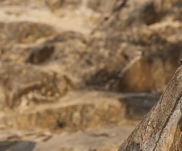 轻人:不一定爬山但是爱穿山地鞋?必一体育运动app松弛到底的年(图17) 轻人:不一定爬山但是爱穿山地鞋?必一体育运动app松弛到底的年(图17)